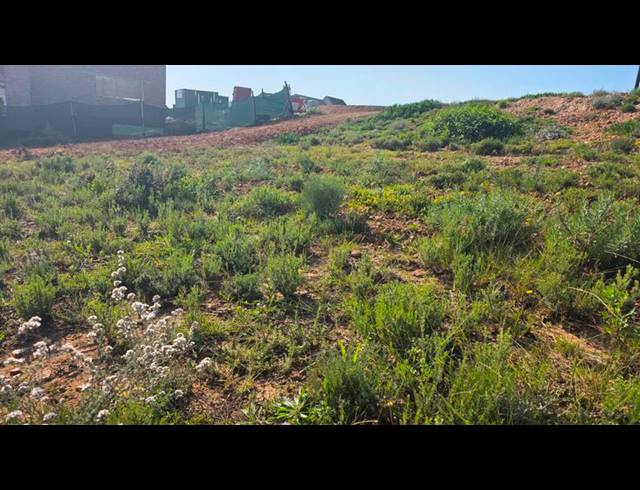 LAND FOR SALE IN OUTENIQUASBOSCH
